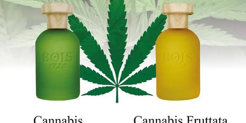 Bois 1920 Cannabis Collection