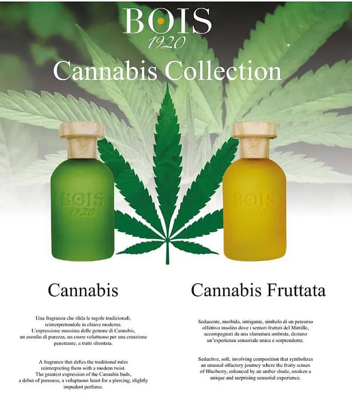Bois 1920 Cannabis Collection